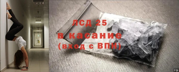 шишки Белокуриха