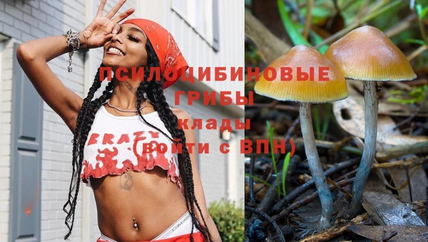 ПСИЛОЦИБИНОВЫЕ ГРИБЫ Богородск