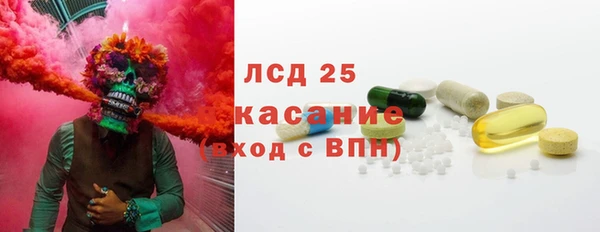 шишки Белокуриха