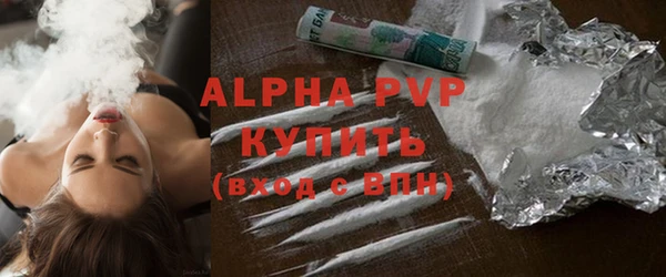 шишки Белокуриха