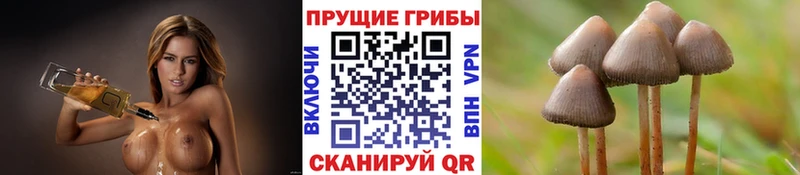 Галлюциногенные грибы мухоморы Белый